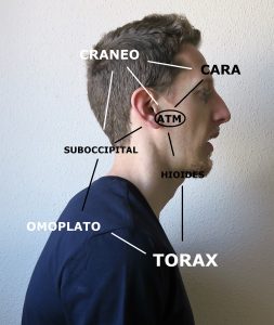 síntomas disfunción atm fisioterapia