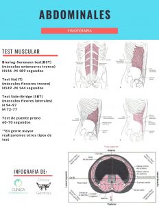 Abdominales