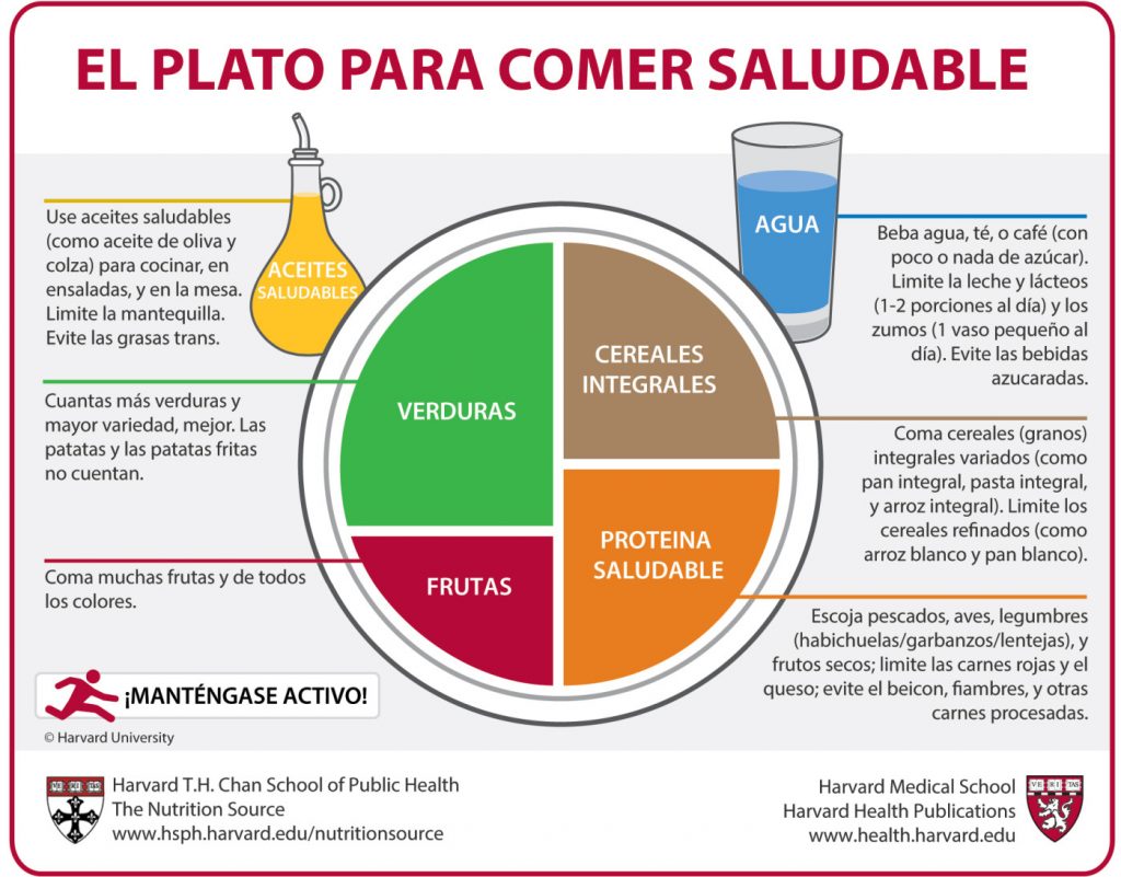 plato de harvard